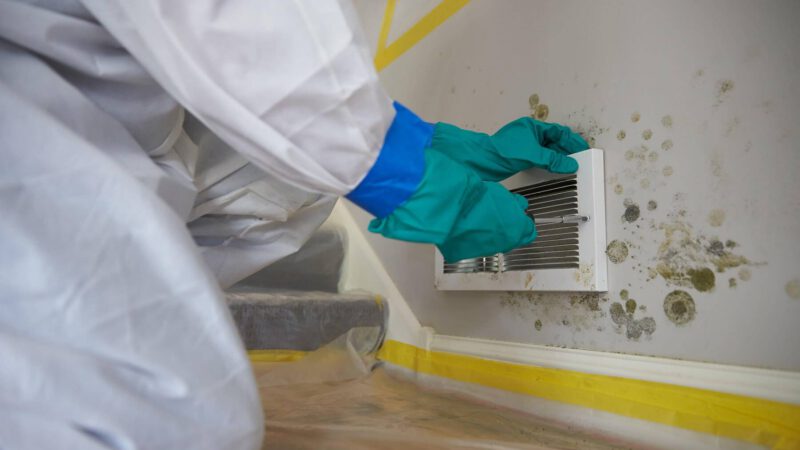Costs of Mold Remediation